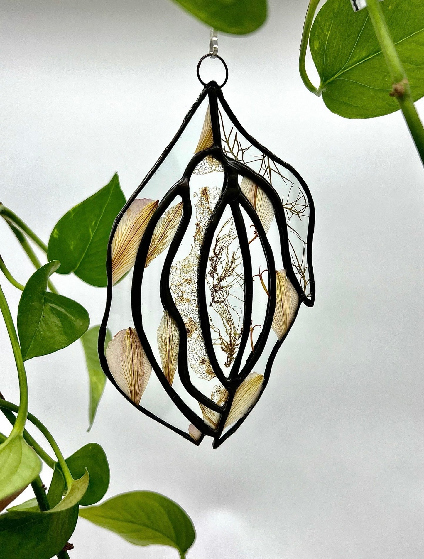 Vulva with Pressed Botanicals